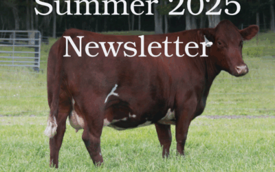 Summer 2025 Newsletter
