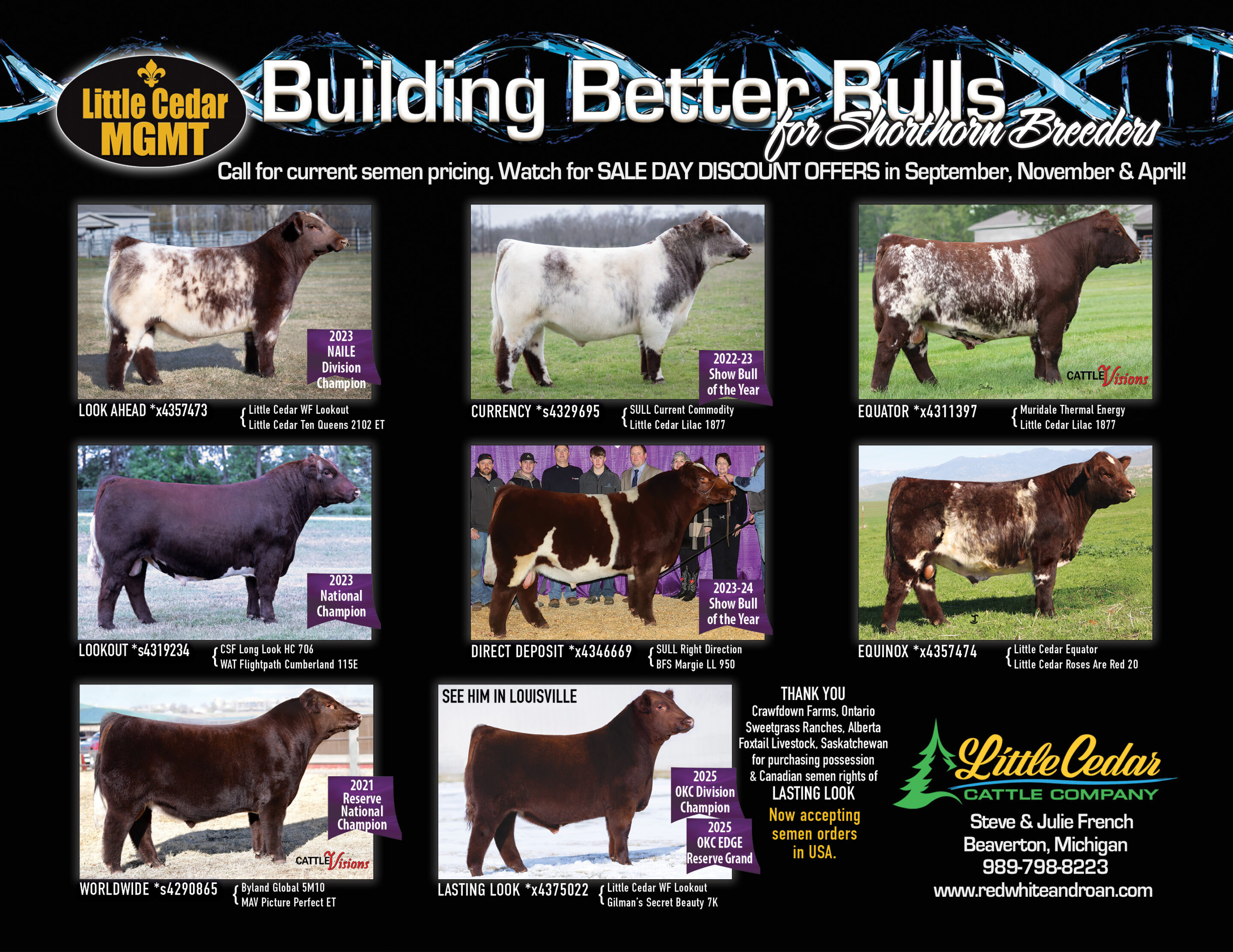 Little Cedar Management